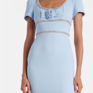 Self Portrait Light Blue Gown